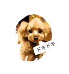 春雄と一緒（個別スタンプ：19）