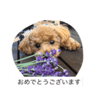 春雄と一緒（個別スタンプ：21）