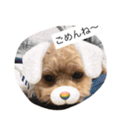 春雄と一緒（個別スタンプ：24）