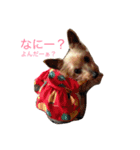 mochas stamp2（個別スタンプ：1）