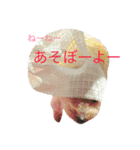 mochas stamp2（個別スタンプ：3）