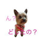 mochas stamp2（個別スタンプ：4）