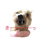 mochas stamp2（個別スタンプ：7）