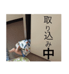 Kenshinkun 2（個別スタンプ：12）