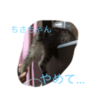 ちさちゃんに送るるうちゃんのスタンプ（個別スタンプ：2）