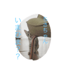 ちさちゃんに送るるうちゃんのスタンプ（個別スタンプ：6）