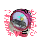 らんまるカフェ（個別スタンプ：6）