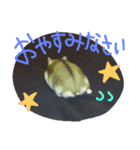 らんまるカフェ（個別スタンプ：8）