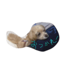 俺の物は俺の物。お前の物も俺の物。（個別スタンプ：3）