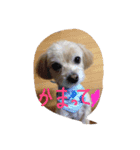 俺の物は俺の物。お前の物も俺の物。（個別スタンプ：8）