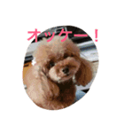 ふぅたこさん（個別スタンプ：15）
