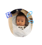 あおぴぃスタンプ（個別スタンプ：4）