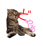 くるくるくるぶし（個別スタンプ：4）