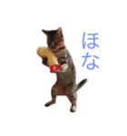 くるくるくるぶし（個別スタンプ：5）