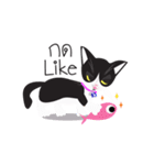 Zolar Kat（個別スタンプ：4）
