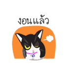 Zolar Kat（個別スタンプ：6）