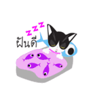 Zolar Kat（個別スタンプ：11）