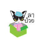 Zolar Kat（個別スタンプ：18）
