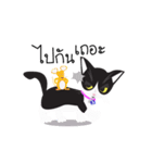 Zolar Kat（個別スタンプ：20）