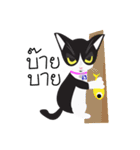 Zolar Kat（個別スタンプ：24）