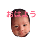 syokun（個別スタンプ：1）
