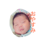 syokun（個別スタンプ：4）