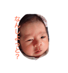 syokun（個別スタンプ：7）