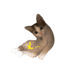 ミケニコ（個別スタンプ：3）