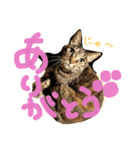 my love animals（個別スタンプ：5）