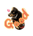 my love animals（個別スタンプ：6）