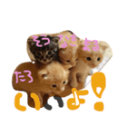 my love animals（個別スタンプ：7）