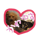 my love animals（個別スタンプ：8）