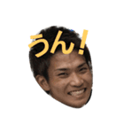 paradise77777（個別スタンプ：17）