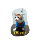 ねこキッド（個別スタンプ：5）