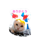 ねこキッド（個別スタンプ：8）