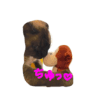 はなにゃんこ（個別スタンプ：5）