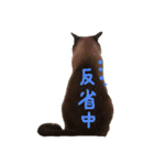 はなにゃんこ（個別スタンプ：21）