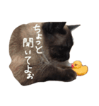 はなにゃんこ（個別スタンプ：23）