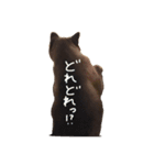 はなにゃんこ（個別スタンプ：26）
