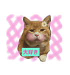 家の可愛いユズくん♡（個別スタンプ：1）