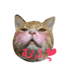 家の可愛いユズくん♡（個別スタンプ：2）
