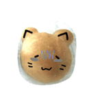 ぱんのねこ2（個別スタンプ：8）