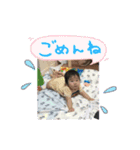 LOVELY HARUHALU（個別スタンプ：5）