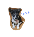 タッチー（個別スタンプ：7）