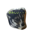 タッチー（個別スタンプ：8）