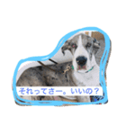 グレートデンMoo太スタンプ（個別スタンプ：9）