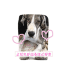 グレートデンMoo太スタンプ（個別スタンプ：12）