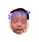 蓮望スタンプ（個別スタンプ：2）