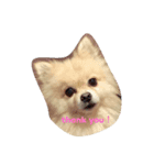 犬と男のスタンプ（個別スタンプ：4）