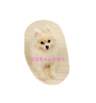 犬と男のスタンプ（個別スタンプ：6）
